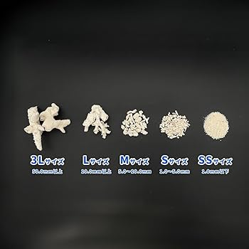 Amazon | パラオ産 サンゴ砂 パラワンサンド 【Mサイズ